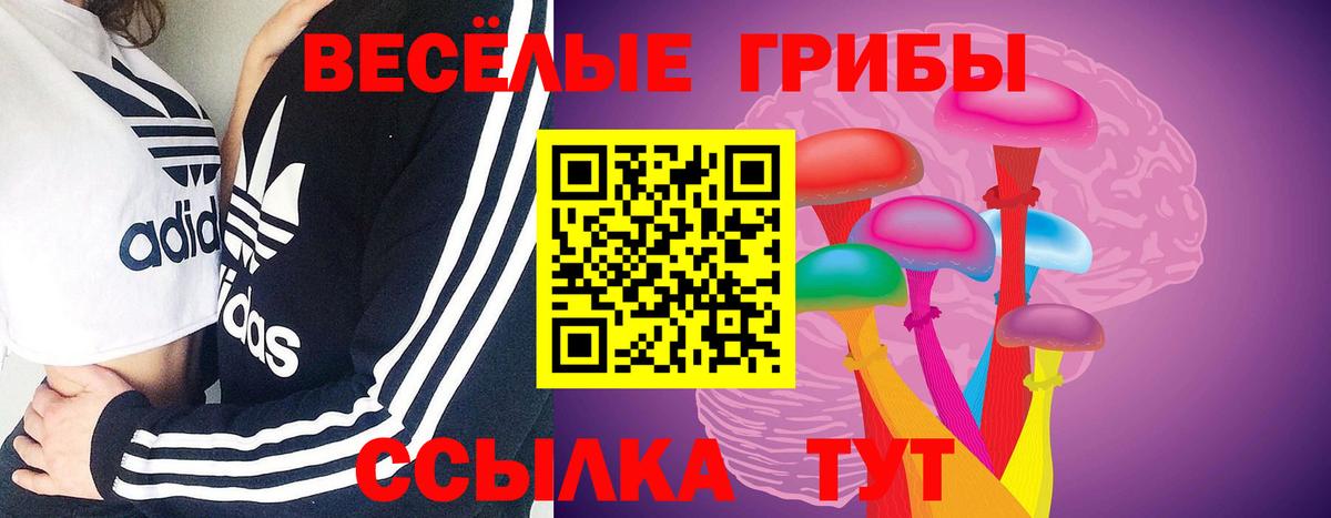 Галлюциногенные грибы MAGIC MUSHROOMS  Вход с VPN  Калач-на-Дону  Галлюциногенные грибы Psilocybine cubensis 